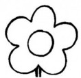 /album/flora/flor-4-jpg/